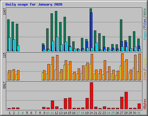 Daily usage for January 2026