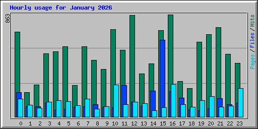 Hourly usage for January 2026