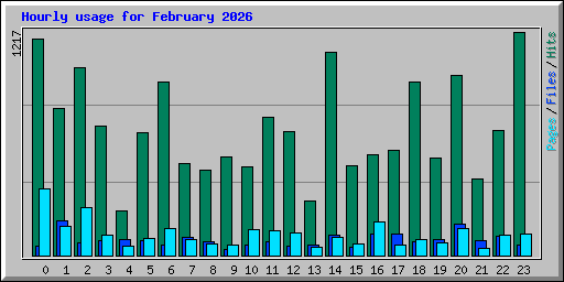 Hourly usage for February 2026